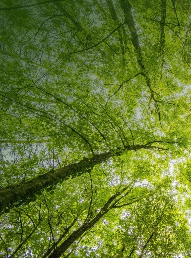 潍柴动力股份有限公司董事、高级管理人员薪酬管理制度